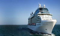 Celebrity Reflection
